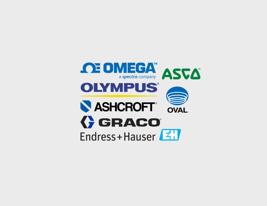 Level, Flow, Pressure, Temperature Measurement